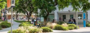 Picture showing Campus Life