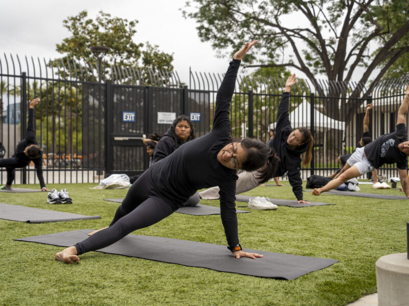 a group of people on a grass field doing yoga on black mats