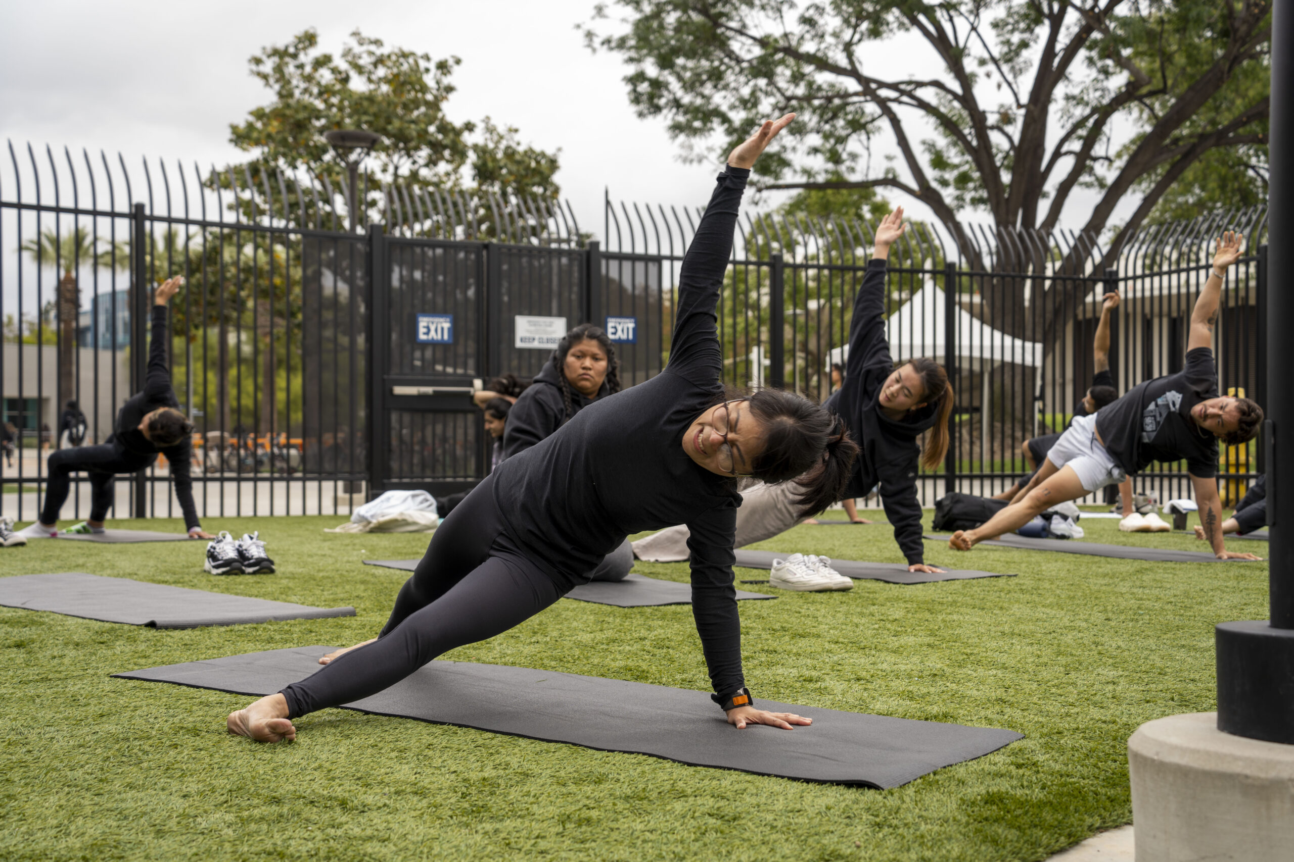 a group of people on a grass field doing yoga on black mats