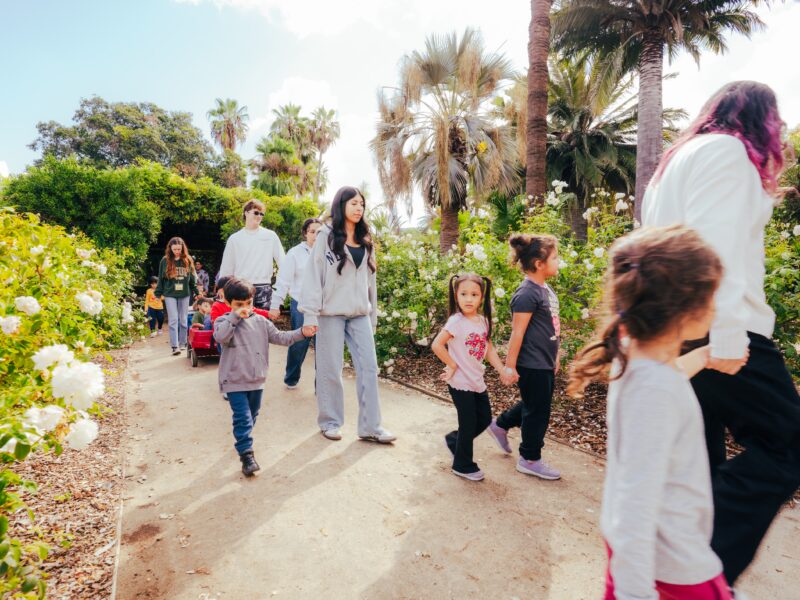 a group of students and adults stand and walk around nature